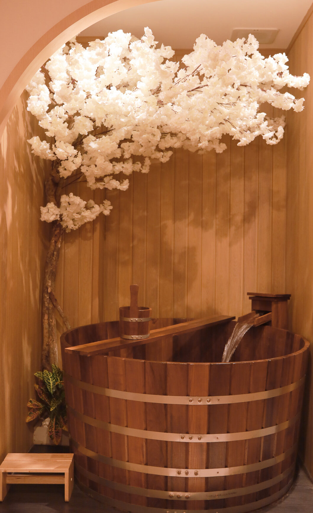 Private Onsen for YU